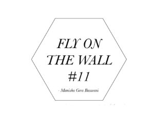 Manisha Gera Baswani Fly on the wall 11-1