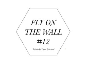 Manisha Gera Baswani Fly on the wall 12-1